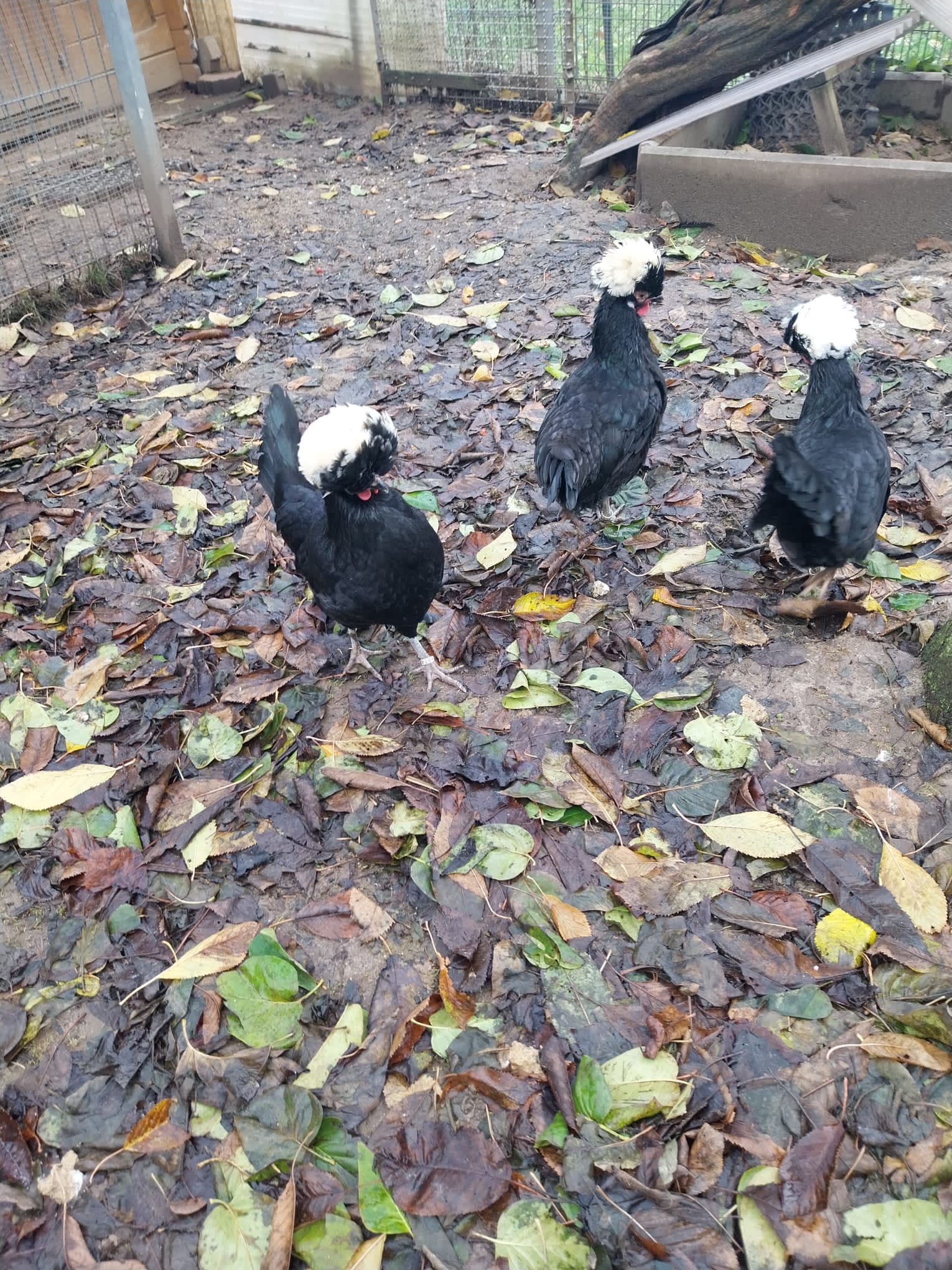 ab20110e-61b2-46a8-a014-e0e3c1afc488