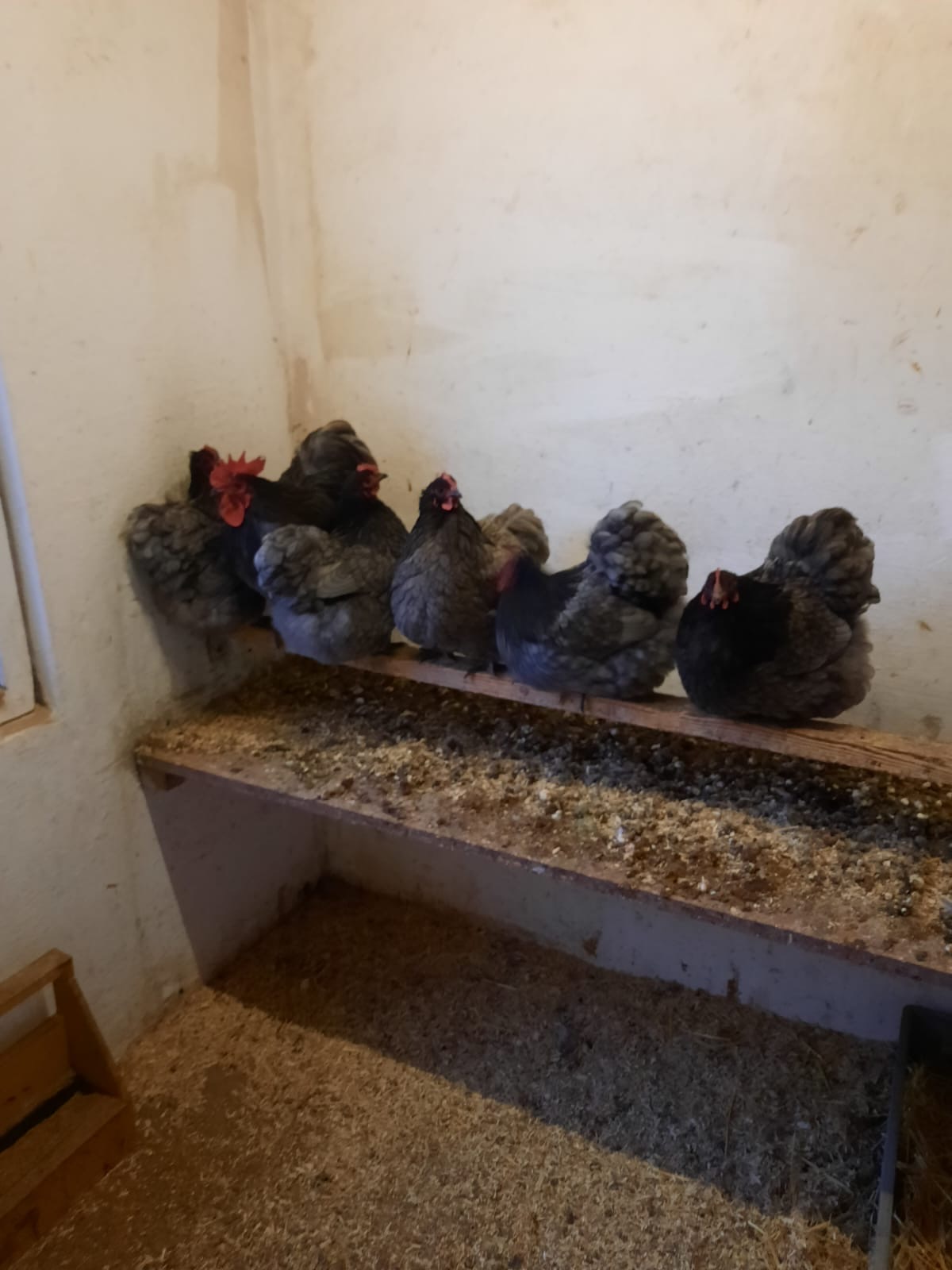 ab6459ba-e35f-4a38-8c30-5239e6f17e21